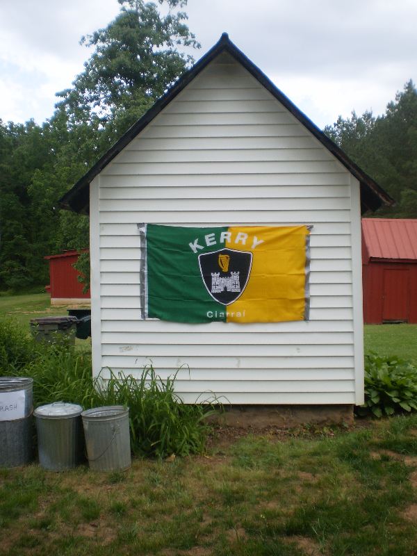 P2040155_edited.jpg