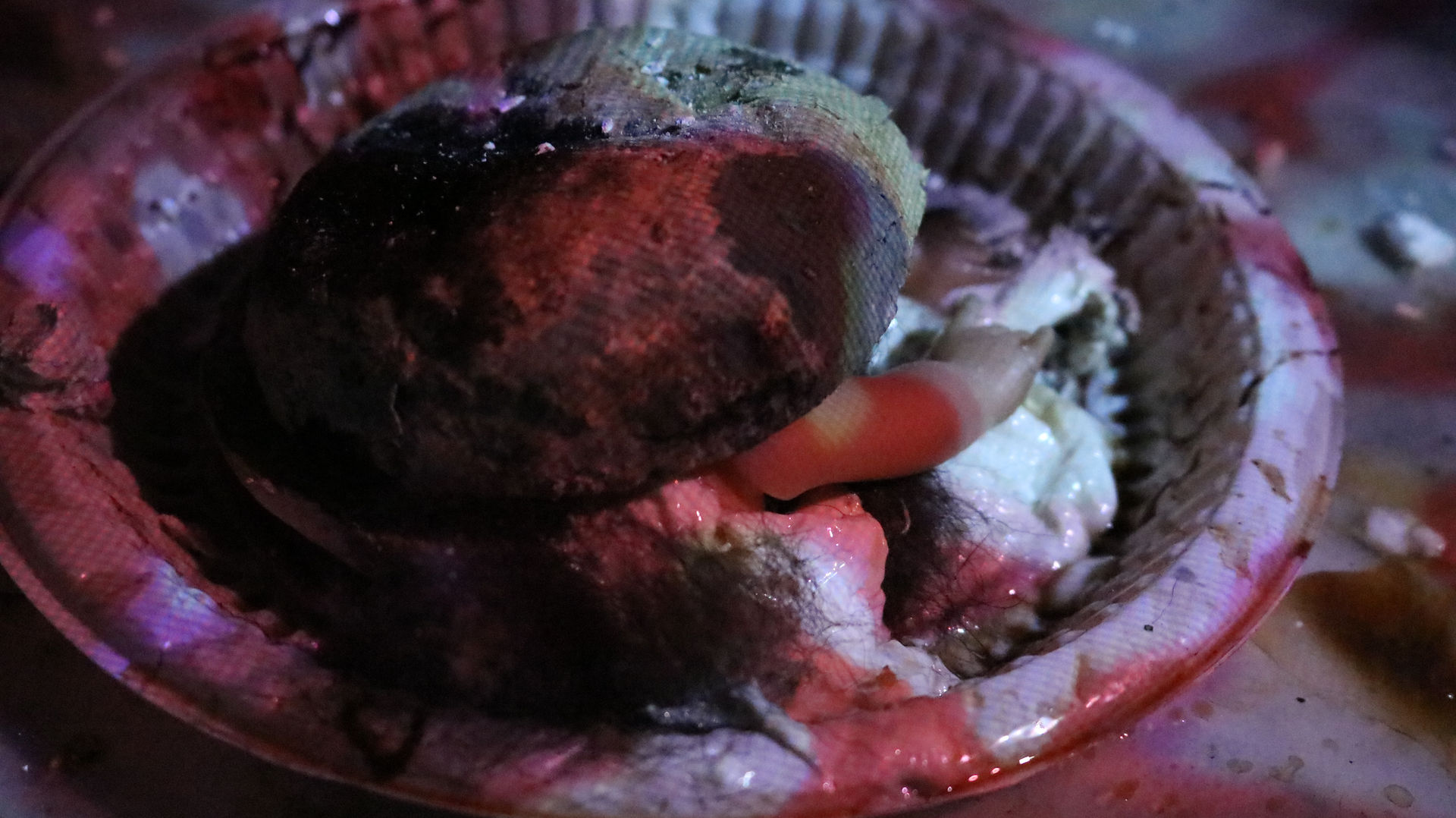 Küflenmiş yemek, oyuncak bebek kolu, plastik tabak
