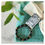 Miniature : BOX GREEN STORY (HOMME)