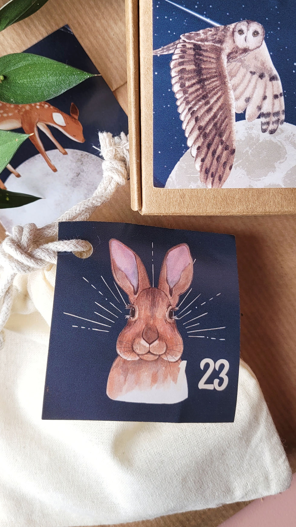 Miniature : CALENDRIER DE L'AVENT 2024