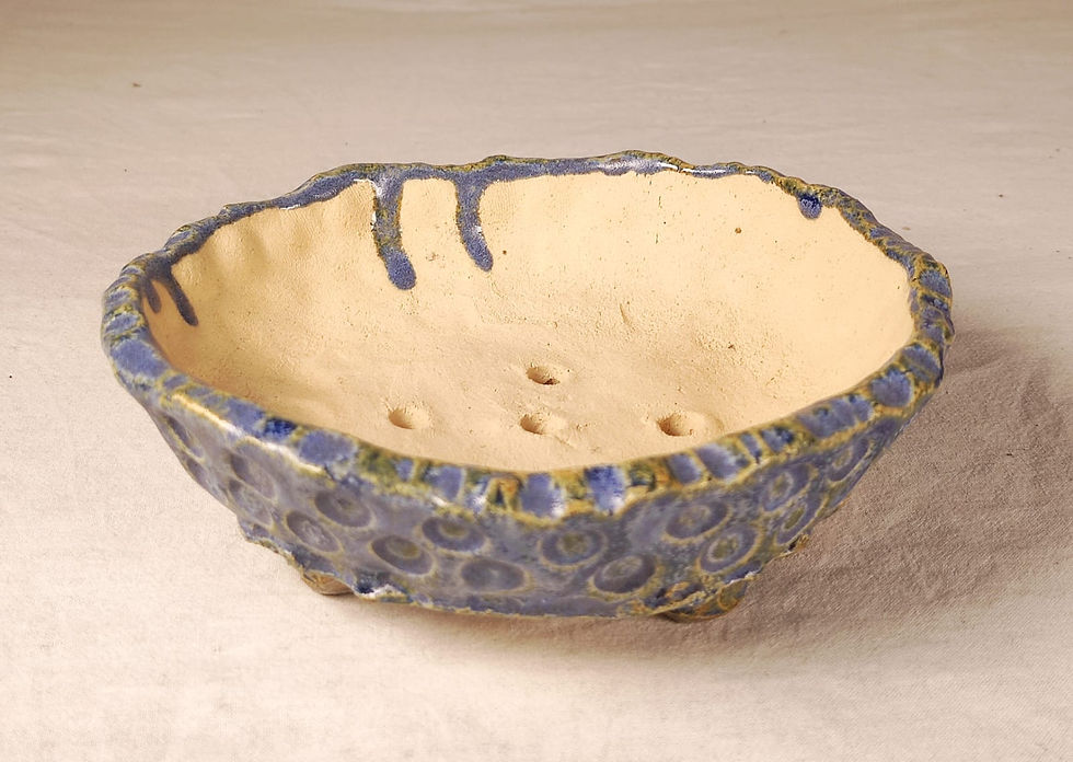 Miniaturbild: Kusamono blue point