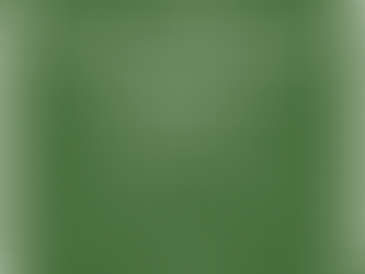 Posaunen und Chimes veranstalten festliches Weihnachtskonzert