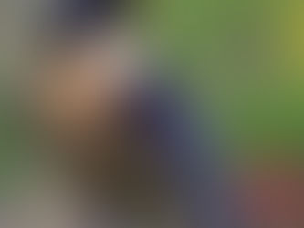 Espírito Animal Falcão