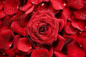 Função da cor vermelha na sintonia dos Chakras