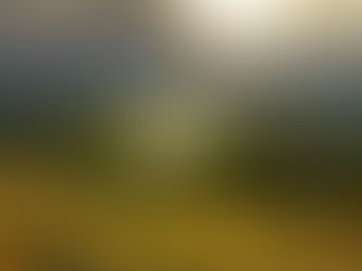 Os 12 passos da Morrnah Nalamaku Simeona