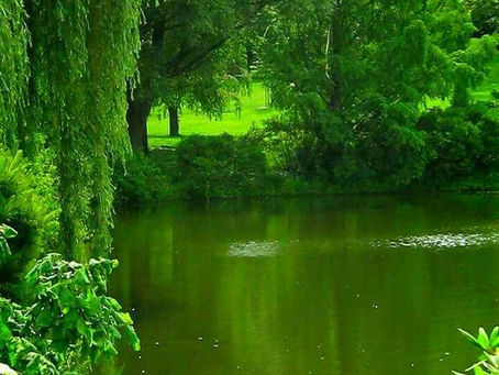 Ação Terapêutica da Cor Verde