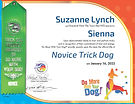 Lynch-Sienna-Novice1024_1.jpg