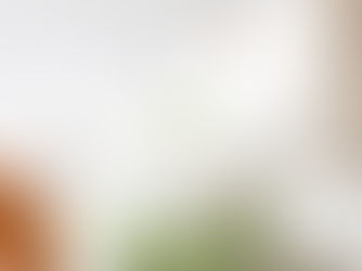 Hier kommen 5 Gründe, warum BIO Matcha als Teil eines bewussten Lebensstils geschätzt wird