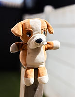 Soft toy in sunlight at Children's nursery : Kids in Bloom, West Derby.