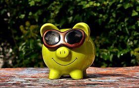 piggybank_alexas_fotos-lucky-pig-2822886_1920.jpg