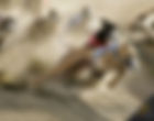 Greyhound Racing