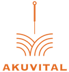 Logo Orange ohne kleine Zeichen.png