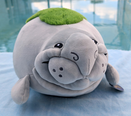 manateeページ　スクイーズ4点 manateeページ スクイーズ4点 4 Pound BIG Weighted Manatee Plush