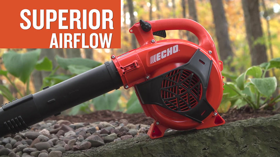 Thumbnail: Echo - PB-2520