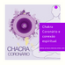 Chakra Coronário e a conexão espiritual