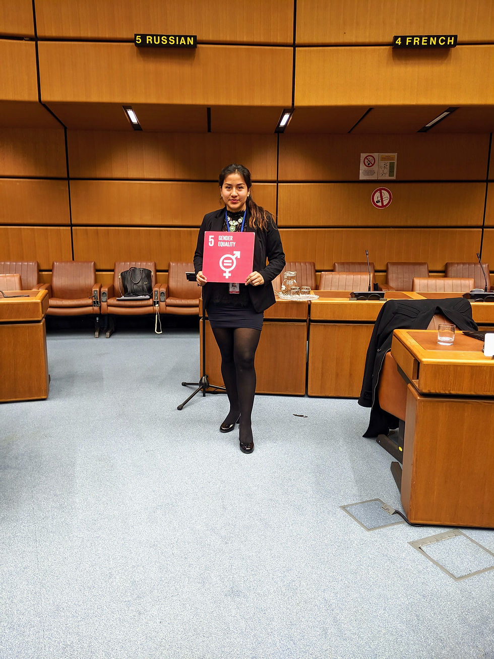 UN international conference