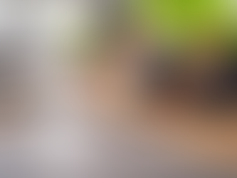 Why Professional Flooring Installation Makes All the Difference in Your Home or Business