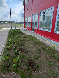 Krokus JV Ieskatieties mūsu paveiktajos darbos