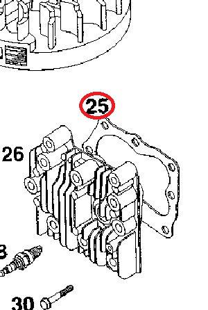 DĀRZA CENTRS H3 Briggs&stratton Blīve cilindra