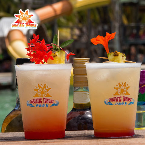 AquaticFundayParkWaterParkDayOutIslaMujeresMexicoFamilyAllInclusiveFoodDrinks.VNFB.jpg