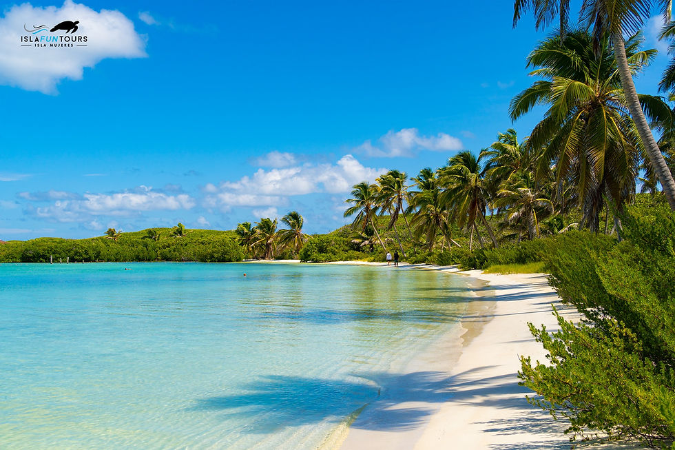 Isla Contoy Tour - Shared - Deposit Only