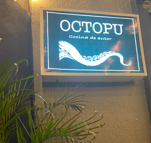 octopuislamujeresoctopuscevicheseafoodfi