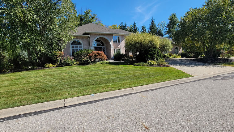 Maintained residential lawn and landscaping in Aurora