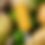 Thumbnail: Mango Dash
