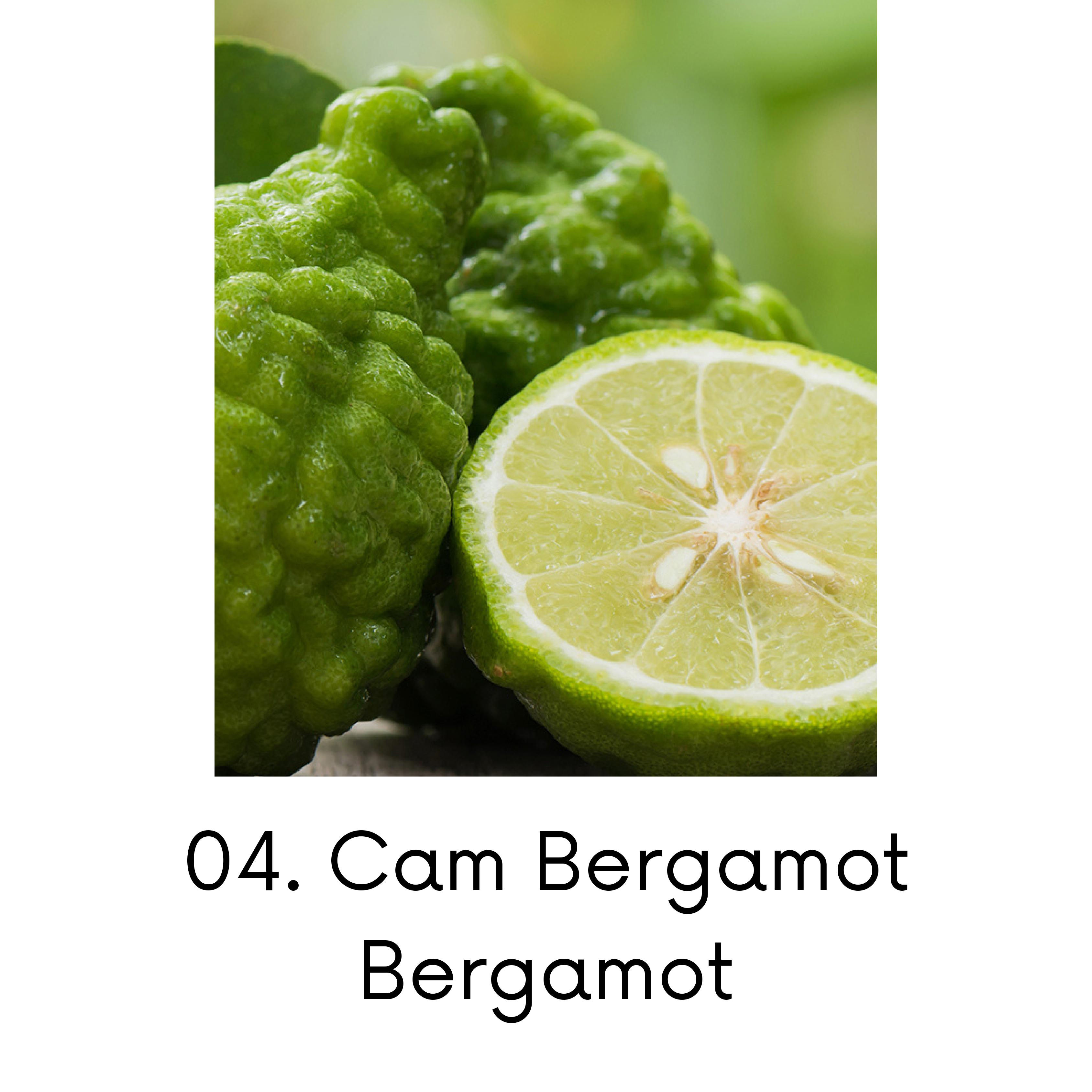Cam Bergamot