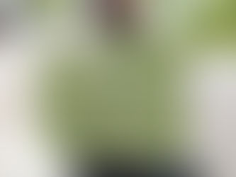 プルエクステで叶える♪秋のブラウンロングスタイル