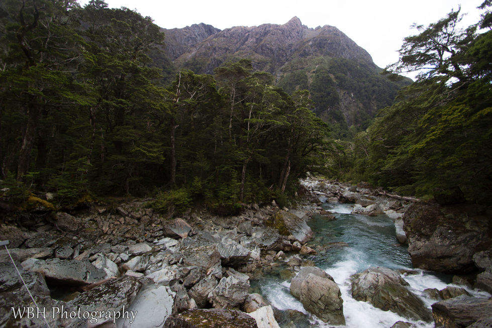 Very rocky creek inside lush temperate rainforest with mountains in the background in New Zealand.