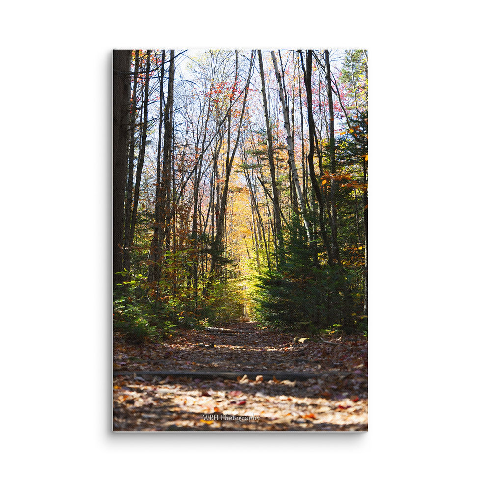 Thumbnail: A Walk Into Autumn (Canvas)