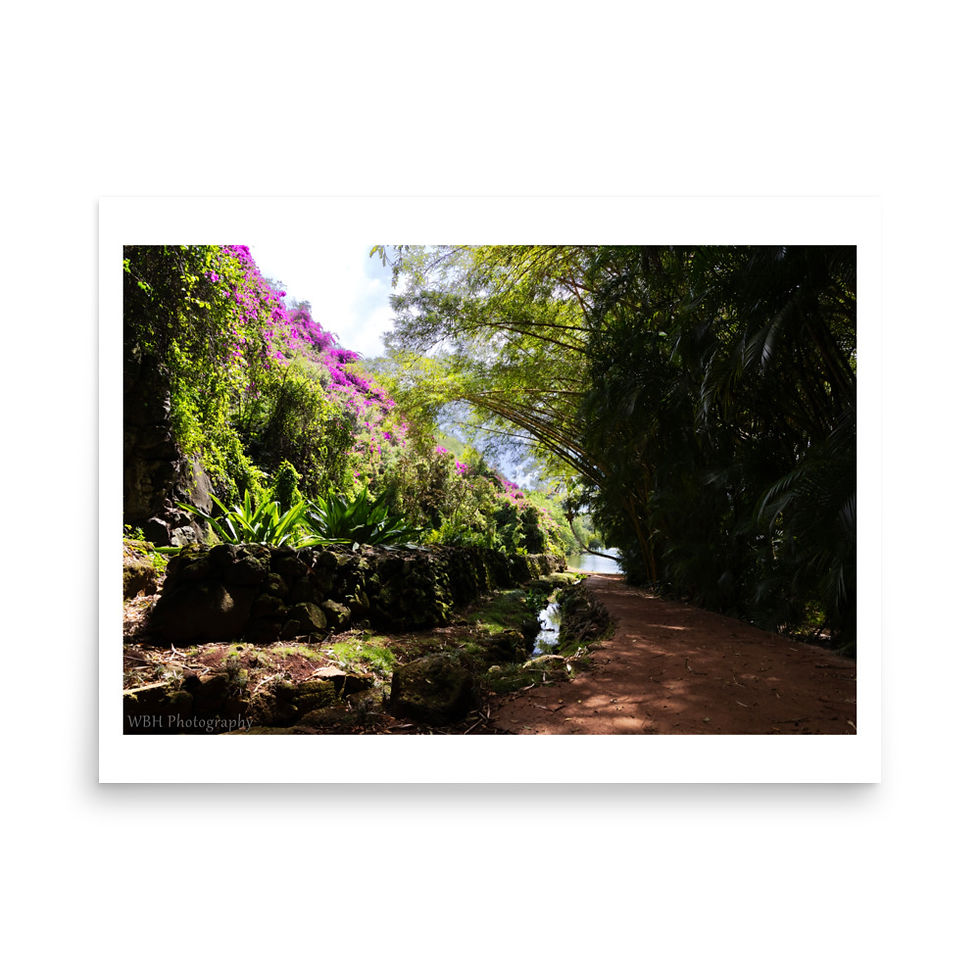 Thumbnail: A Path in Paradise (Glossy Print)