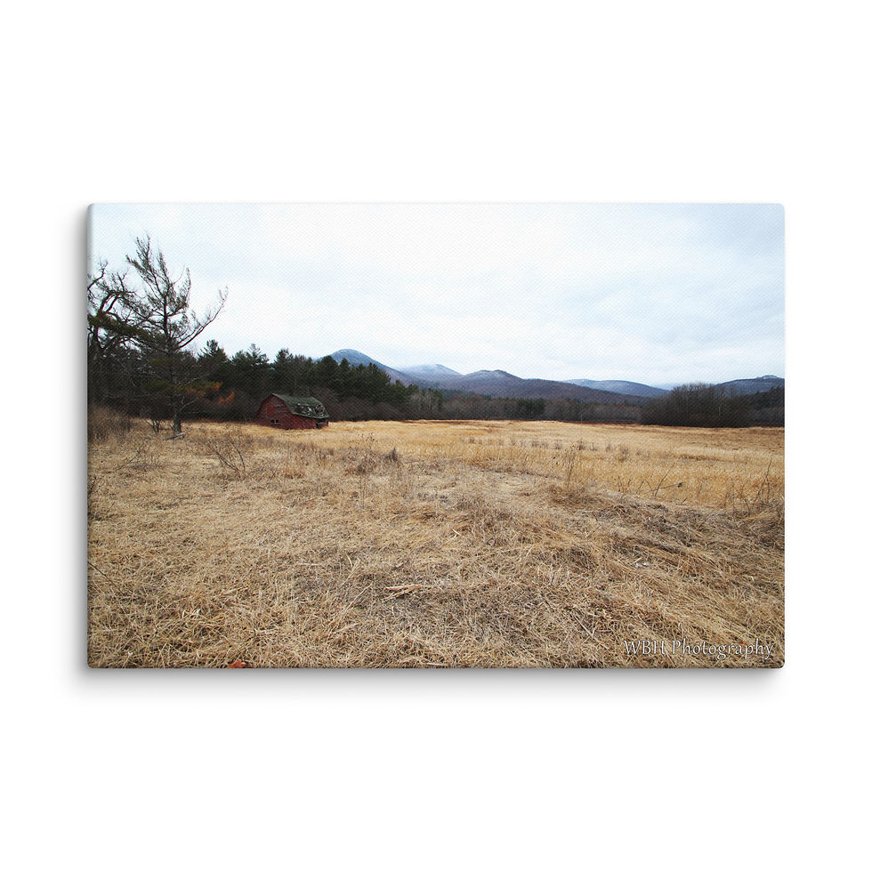 Thumbnail: Lone Barn (Canvas)