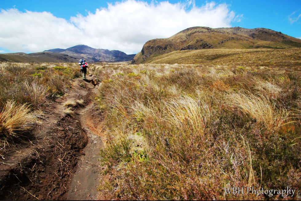 One of the trails in the Tangariro Northern Circuit. The trail itself is essentially a rut in the ground from erosion and goes through some grasslands with Mt. Tongariro in the background and some other mountains. There are blue skies and clouds.