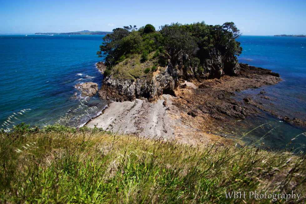 A unique peninsula with a depressed middle acting as a rocky beach at Waiheke Island, New Zealand. The end of the peninsula sticks up maybe 20-30 feet with trees and grass with cliffs all around. The day is overcast.