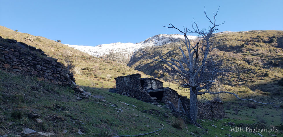 Mt. Mulhacen in Spain in the background covered in snow with an interesting and possibly abandoned barn or farm building in the foreground beside an interesting wintered tree.