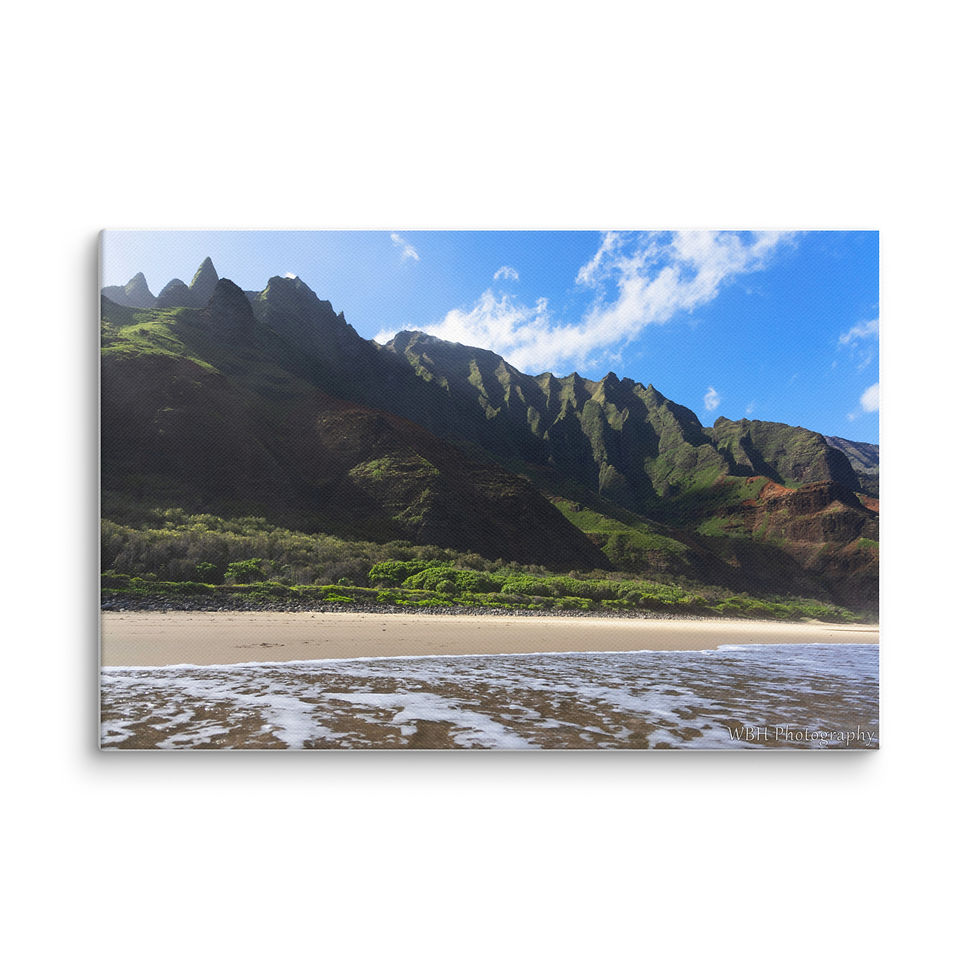 Thumbnail: Kalalau Beach (Canvas)