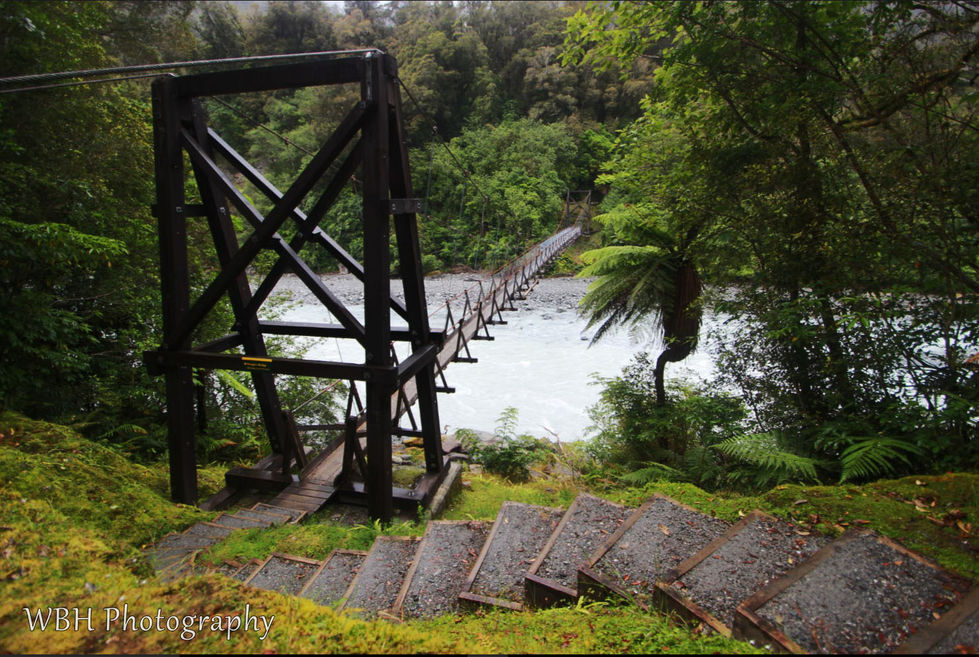 Incredible lush rainforest in New Zealand with steps leading to a bridge that goes over a raging river.