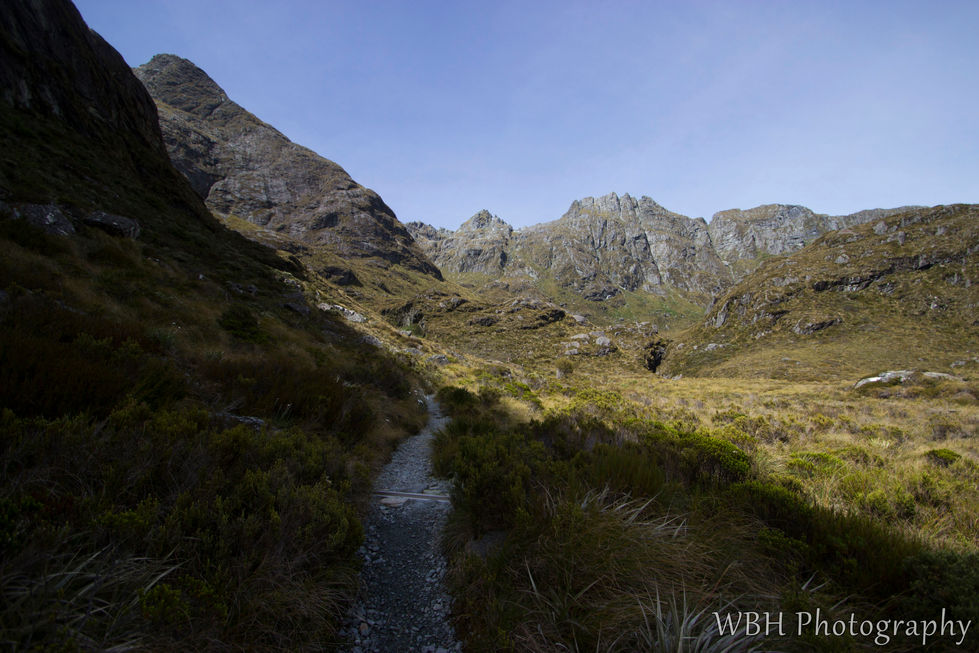 Wooden path among grasslands in the mountains. Routeburn Track, New Zealand.