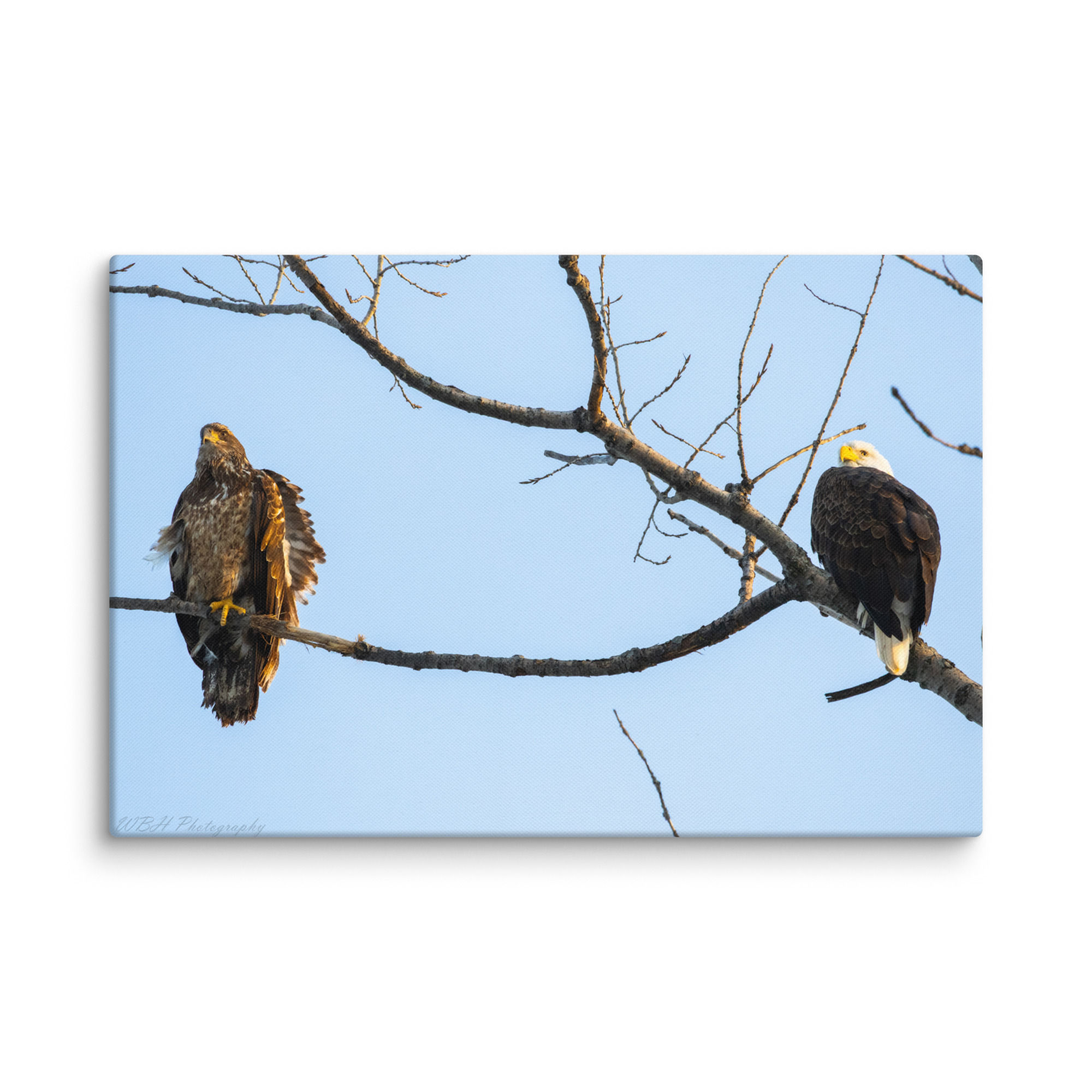 Father and Son (Canvas)