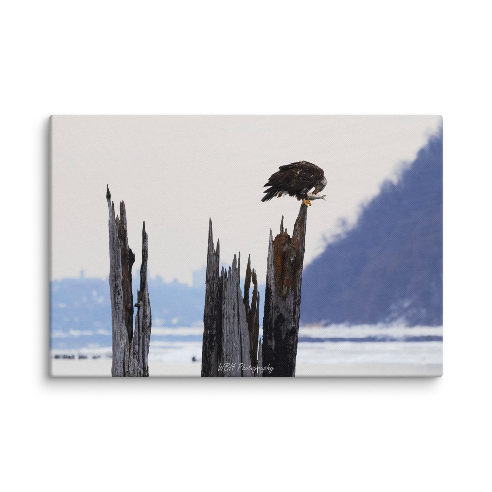 Lunchtime (Canvas)
