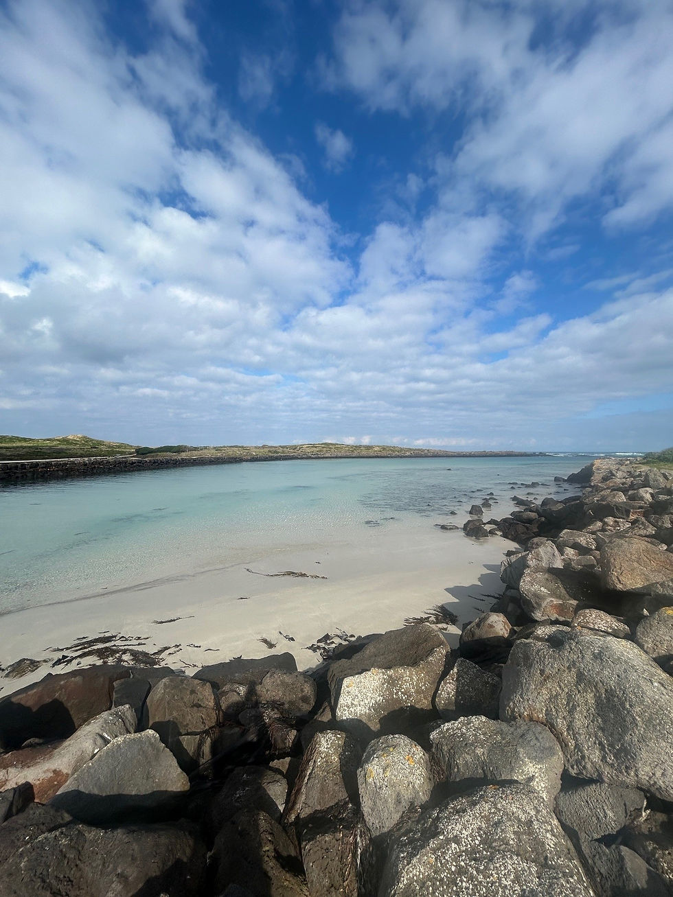 Griffiths Island Rockery