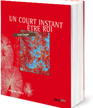 Livre : Un court instant être roi, de Fred Ziegler, éditions EnVolume