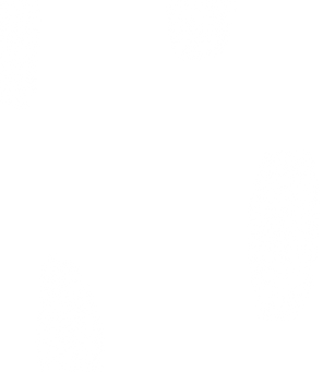 Solid White Background