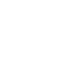 Solid White Background