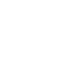 brush_WHITE