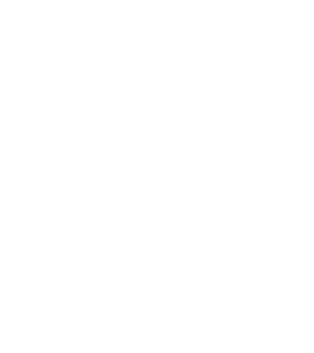 Solid White Background