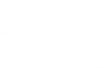 Solid White Background