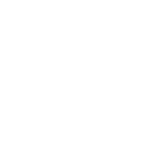 brush_WHITE